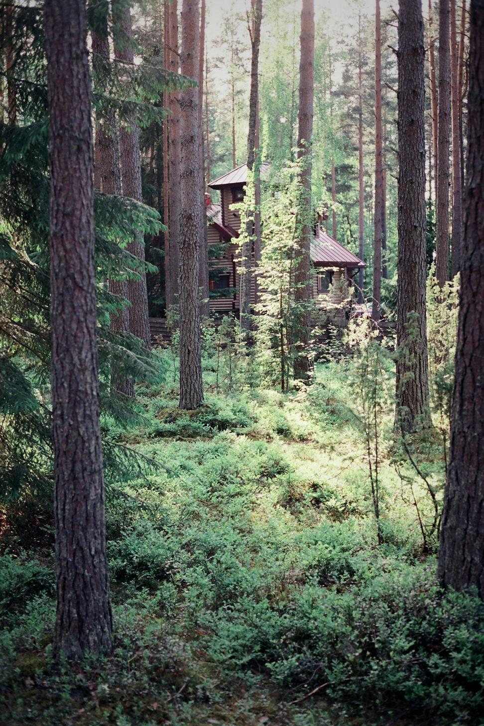 Whistler Passive House